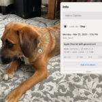 Finding image dimensions on iOS using the Files app