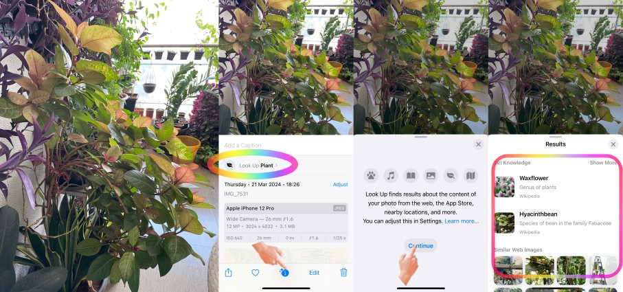 iPhone Visual Look Up Icon