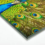 Close-up showing the polished edge of an acrylic photo print, highlighting the clarity and depth it adds to the artwork