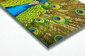 Close-up showing the polished edge of an acrylic photo print, highlighting the clarity and depth it adds to the artwork