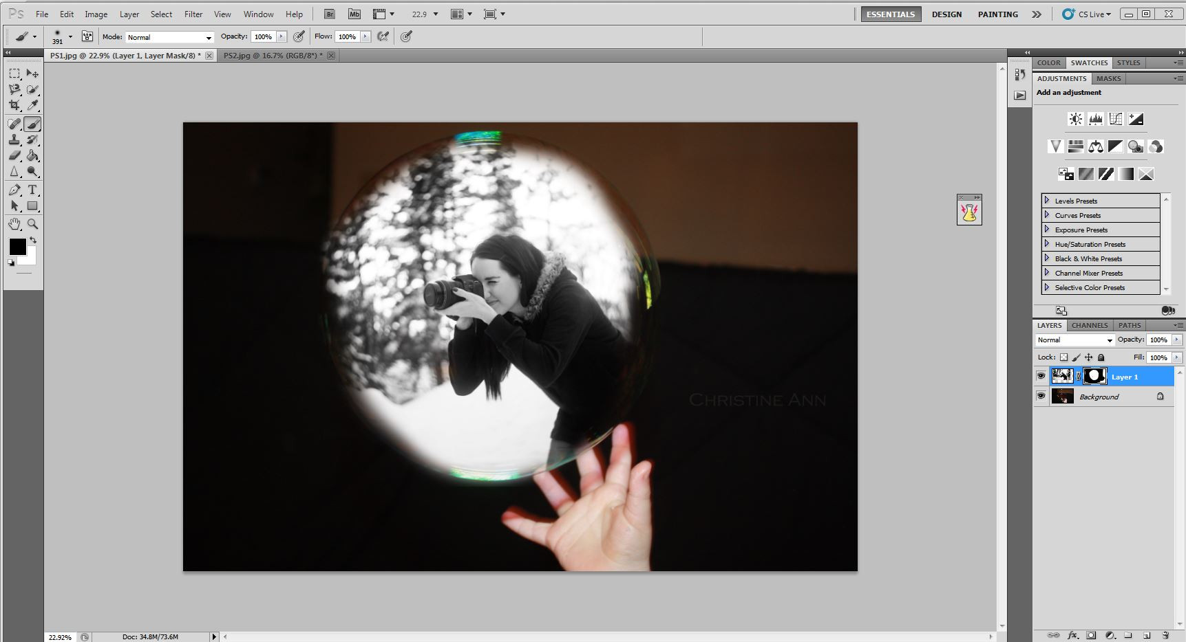 Painting with the black brush to remove parts of the image