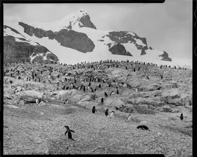 Landscape photograph from Antarctica by Aidan Klimenko