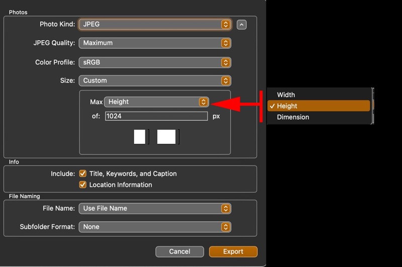 Exporting options within the Photos app on macOS