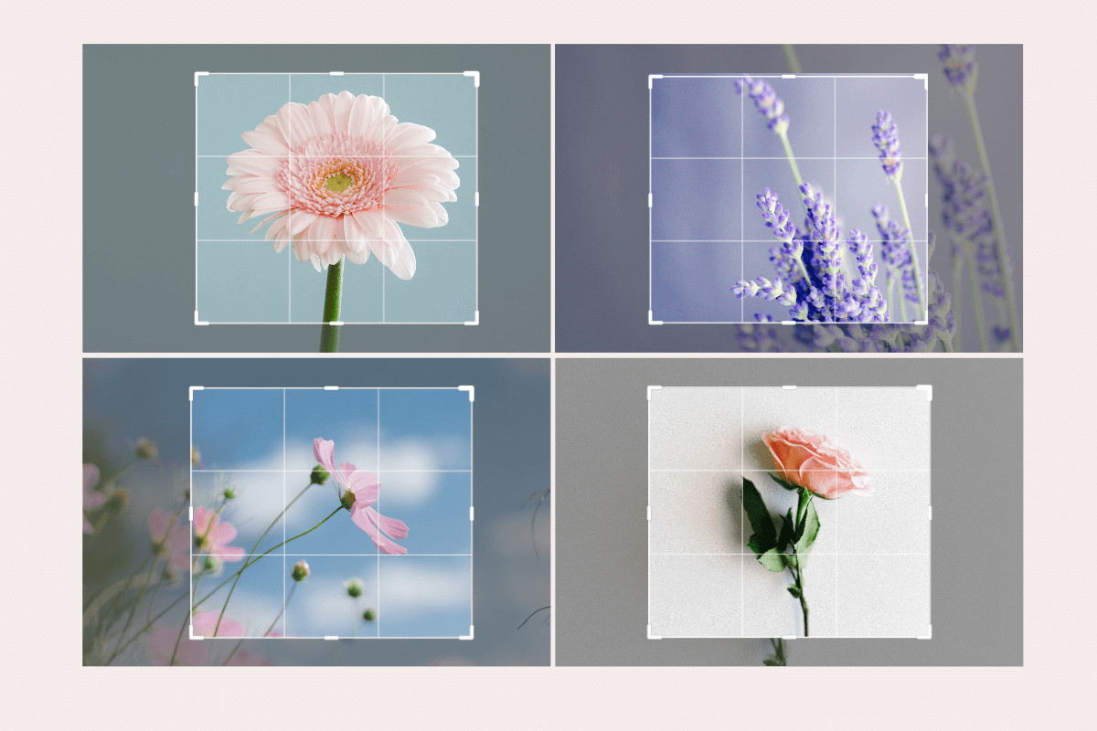 A screenshot of a photo editing software interface, showing the crop tool with a 5:7 aspect ratio applied to an image.