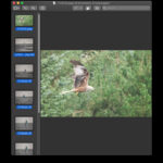 Preview Adjust Size Interface