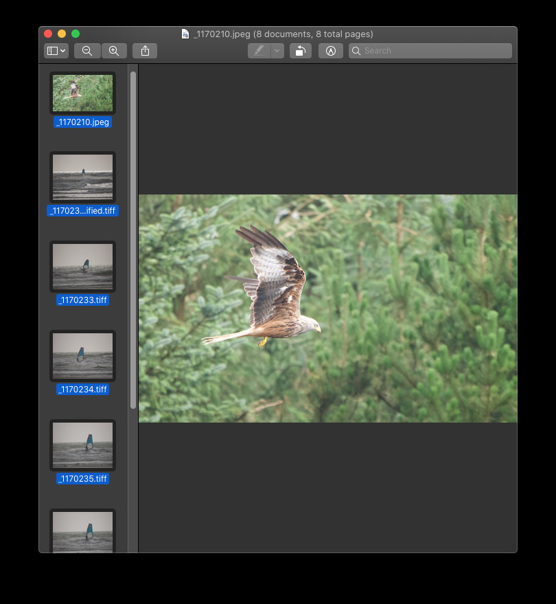 Preview Adjust Size Interface