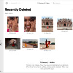 Recover photos from iCloud.com by selecting the Recently Deleted album in the sidebar and clicking recover