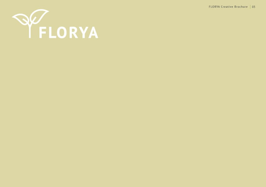 Adding a rectangle over the flower image