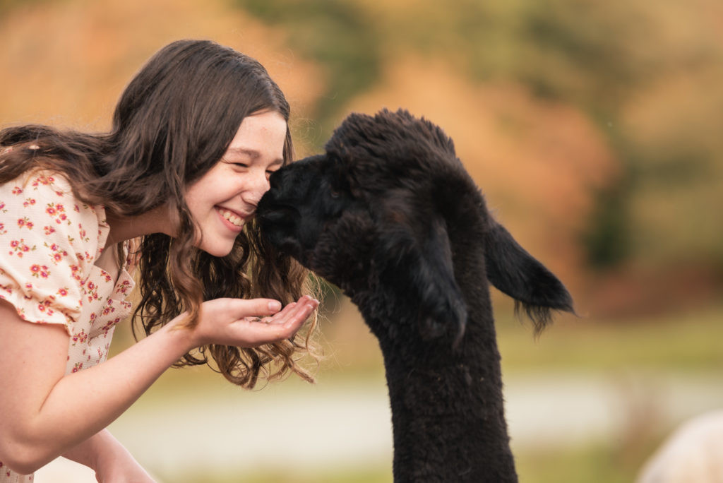 An alpaca with a child.
