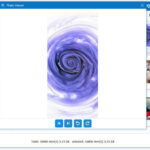 iCloud Photos
