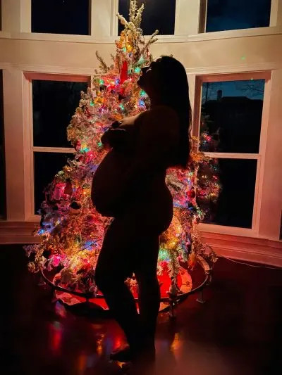Christmas Tree Pregnancy Silhouette How To Create a Christmas Tree Pregnancy Silhouette Photo