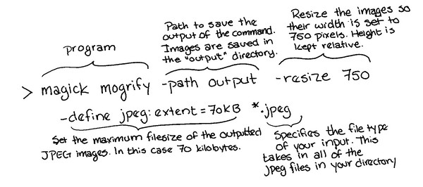Image shows the above command written out with a short explanation either above or below each section.