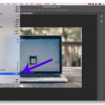 Adding metadata in Adobe Photoshop using the File Info dialog box