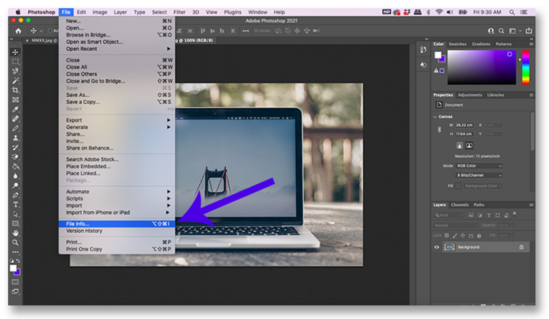 Adding metadata in Adobe Photoshop using the File Info dialog box