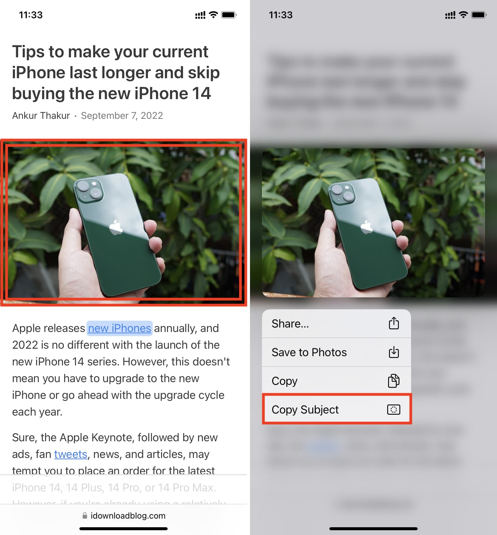 Copy Subject from image in Safari on iPhone