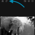 Crop and rotate button