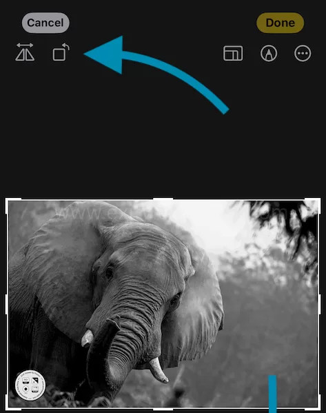 Crop and rotate button