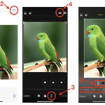 iPhone displaying cropping options