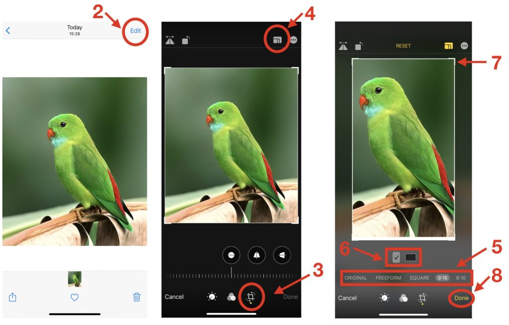 iPhone displaying cropping options