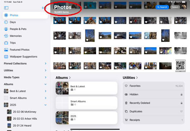 Screenshot of Image Size app on iPad showing options to input desired dimensions to resize a photo, demonstrating resizing functionality for mobile devices