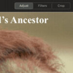Close up of hand using the type tool feature in Photoshop to add text to an image, showcasing graphic design software