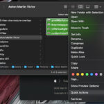 Preview Export Options
