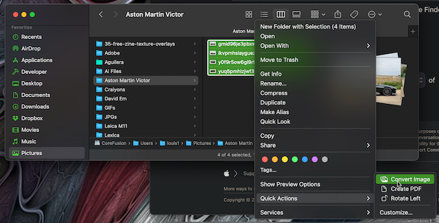 Preview Export Options