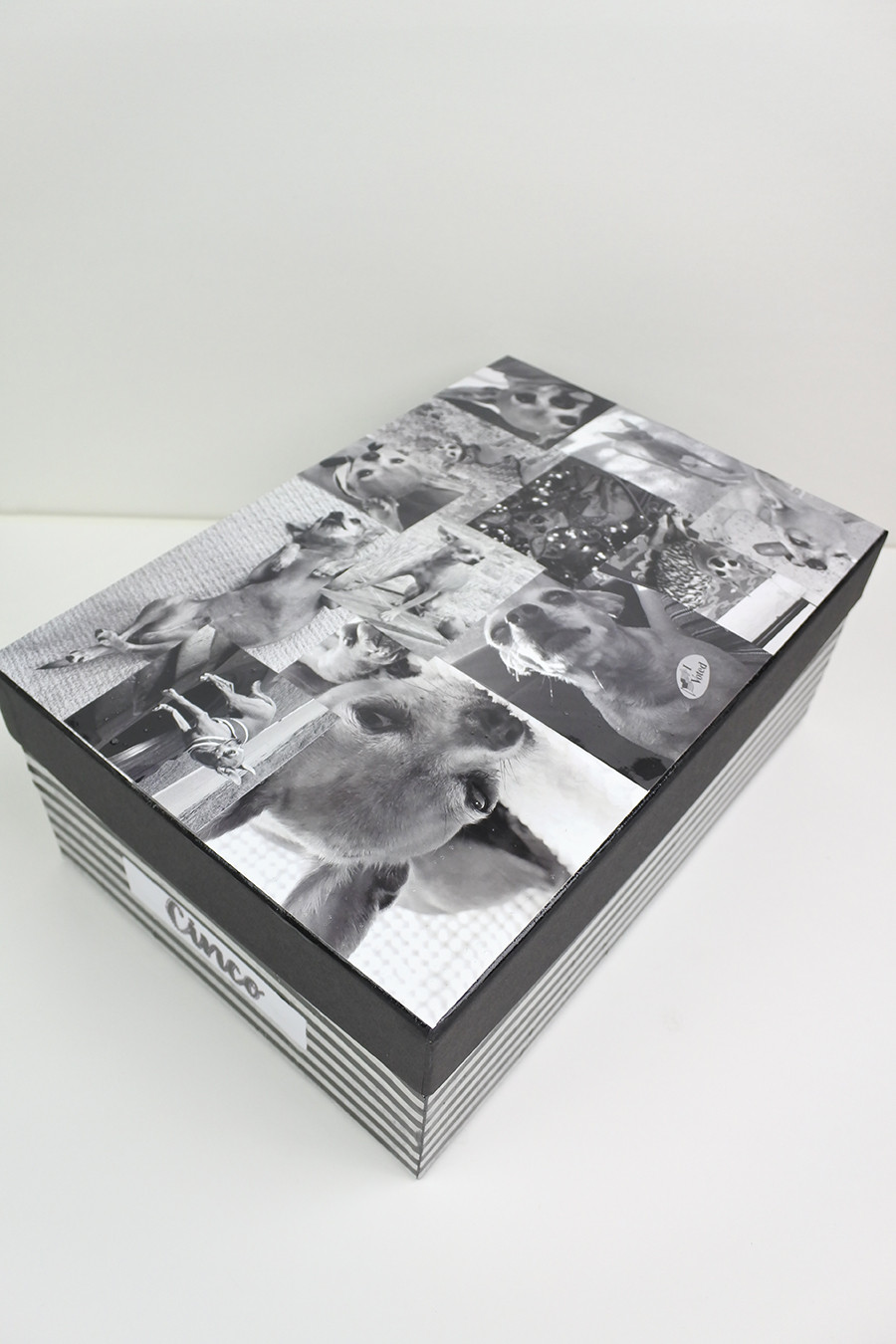 Black and white photo collage on a photo box lid