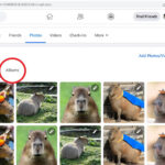 Facebook Photo Albums