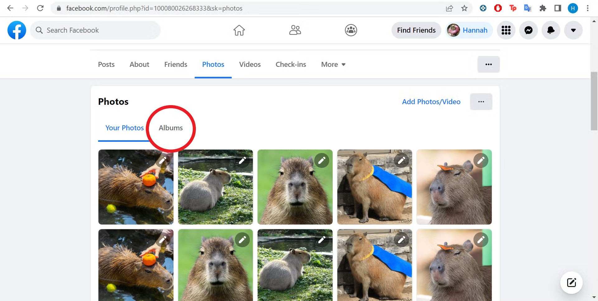 Facebook Album Option