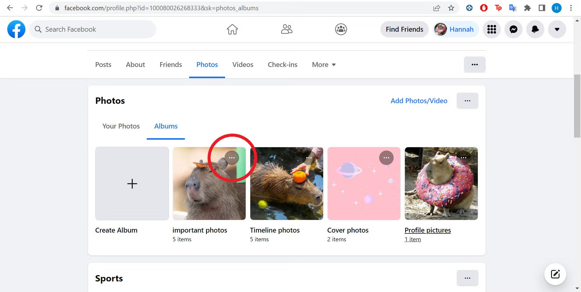 Facebook Album Options