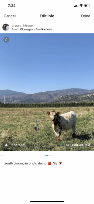 Instagram post with three dots icon indicating edit options, a visual guide for removing a photo from a carousel