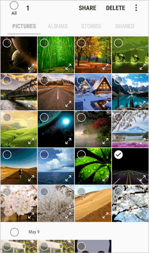 Deleting specific photos from Samsung Gallery App