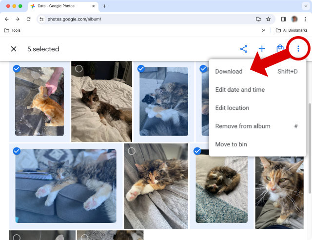 Downloading pictures from Google Photos to PC via browser