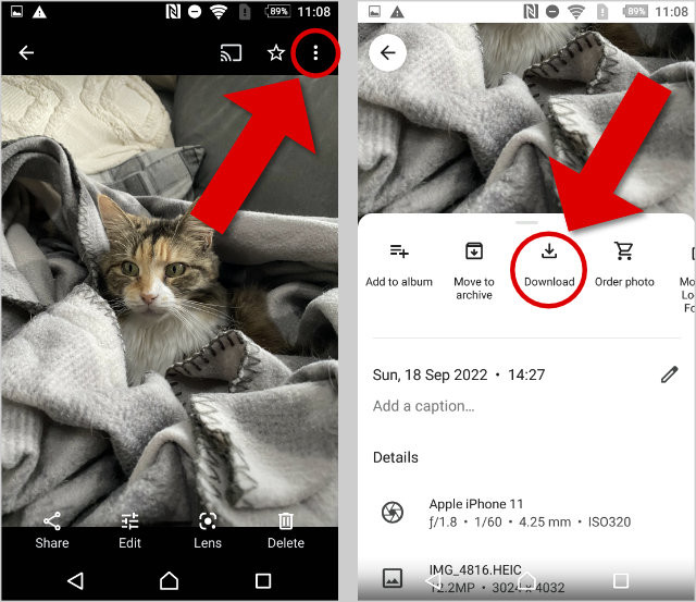 Downloading photos from Google Photos to Android, illustrating the steps to select a photo and tap Download.