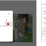 Create a sharing link in Dropbox
