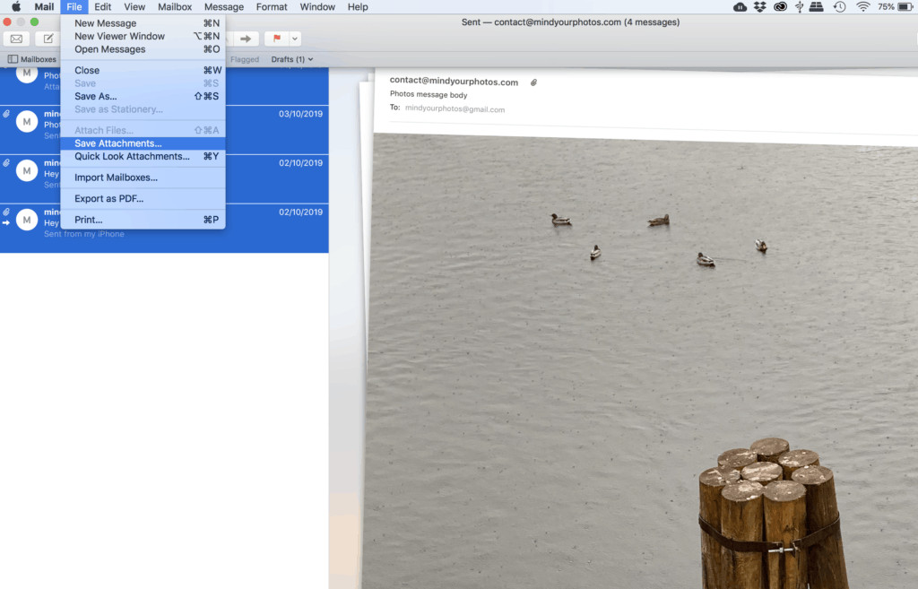 Saving attachments from Apple Mail by selecting &quot;File&quot; and then &quot;Save Attachments&quot;