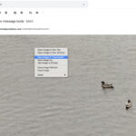 Downloading attachments from Gmail using the download icon