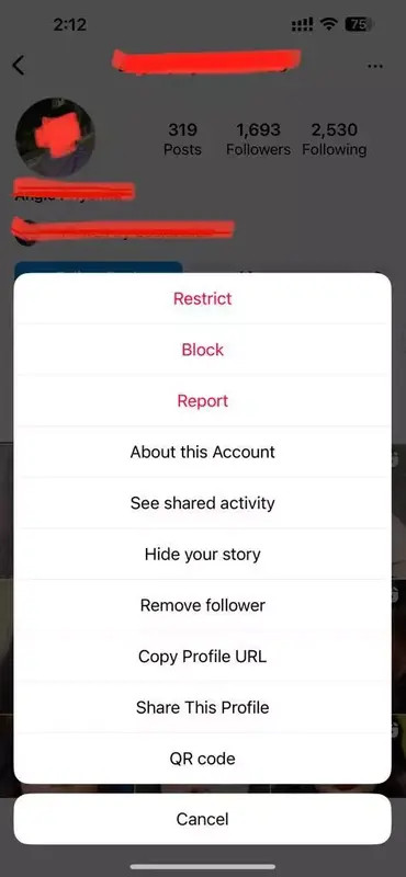 Blocking a user on Instagram