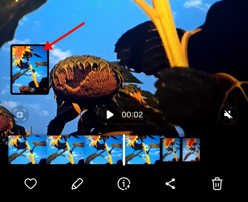New Captured Frame from Motion Photo Video Clip
