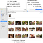 Photos on the device that you’ve already imported are shown at the top of the Import window; new photos are at the bottom. At the top center is the Album pop-up menu. The Import All New Items button is at the top right.