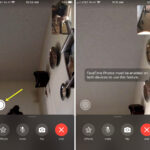 FaceTime Capture Live Photo iPhone