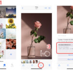 Photo EXIF metadata displayed on iPhone
