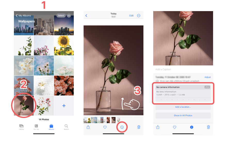 Photo EXIF metadata displayed on iPhone