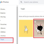 Find photo in trash