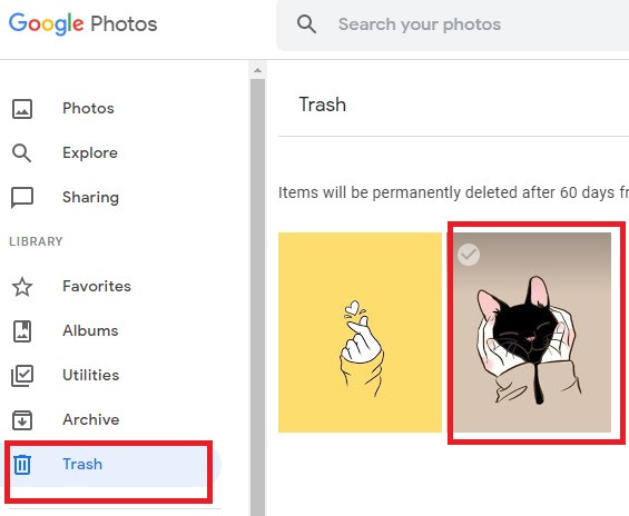 Find photo in trash