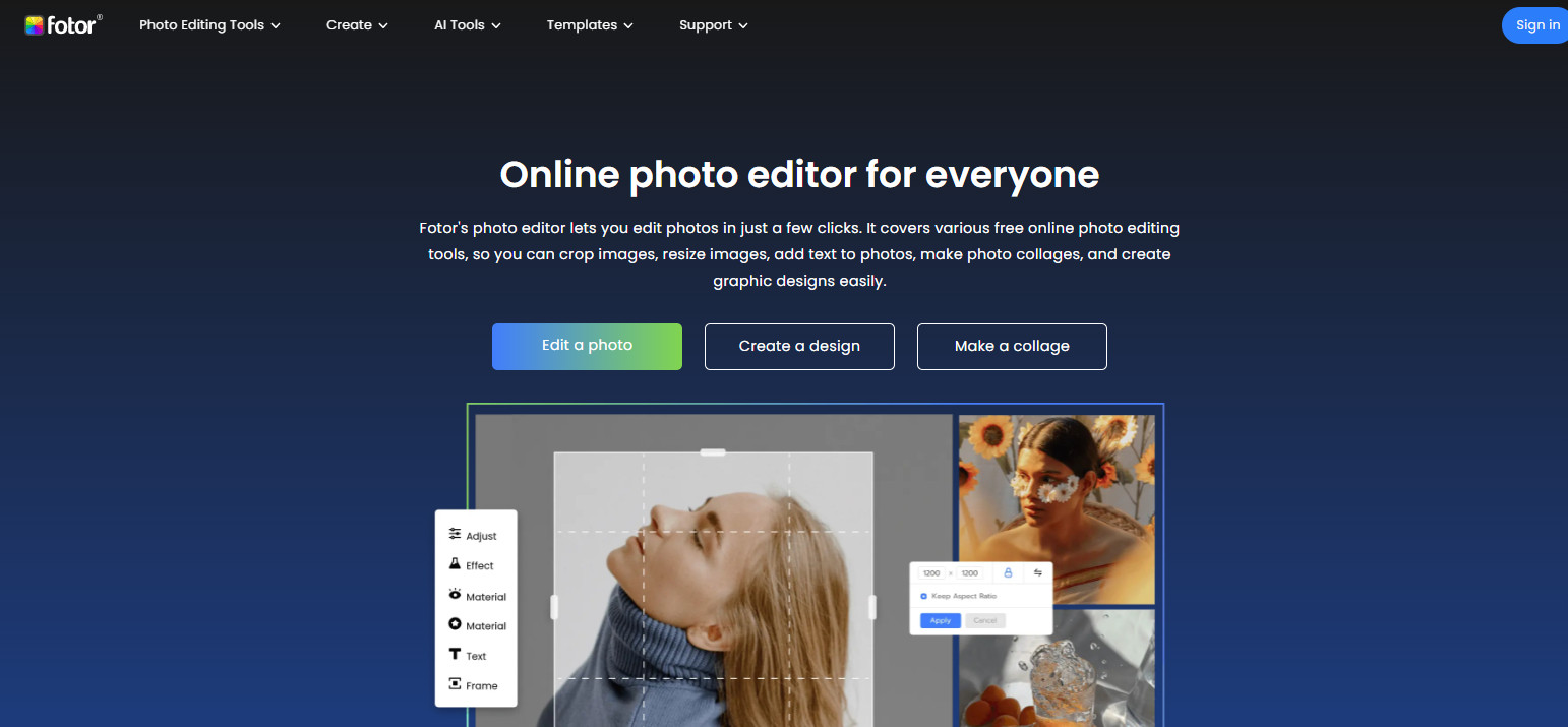 Fotor.com interface