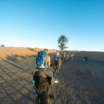 GoPro HERO10 capturing a scenic mountain landscape with a wide-angle view