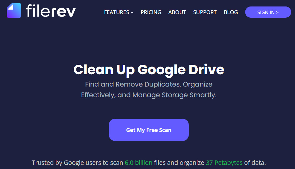 Filerev scanning duplicate files