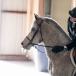 A candid shot of a horse show